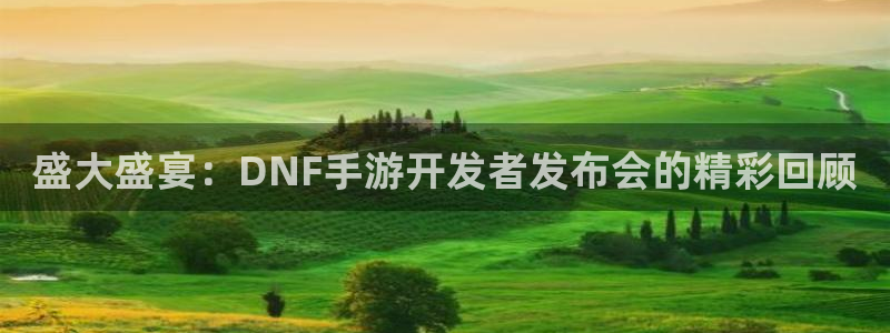 恩佐娱乐1：盛大盛宴：DNF手游开发者发布会的精彩回顾