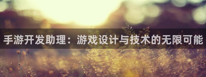 恩佐娱乐平台正规吗可靠吗：手游开发助理：游戏设计与技术的无限