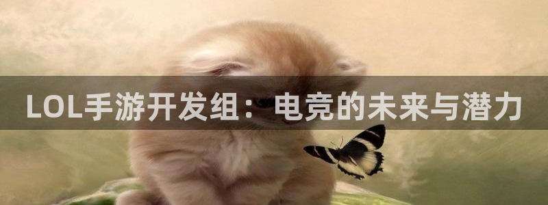 恩佐娱乐登陆：LOL手游开发组：电竞的未来与潜力
