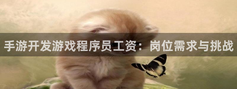 恩佐娱乐平台正规吗知乎：手游开发游戏程序员工资：岗位需求与挑