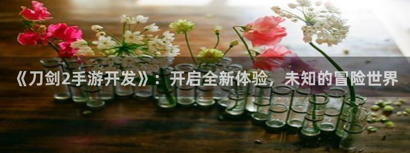 恩佐娱乐登陆：《刀剑2手游开发》：开启全新体验，未知的冒险世