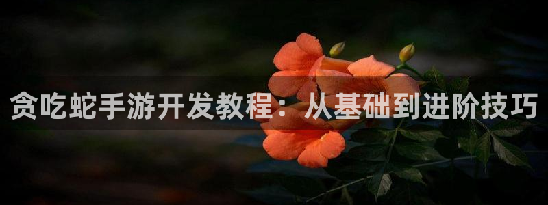 恩佐娱乐平台正规吗安全吗：贪吃蛇手游开发教程：从基础到进阶技