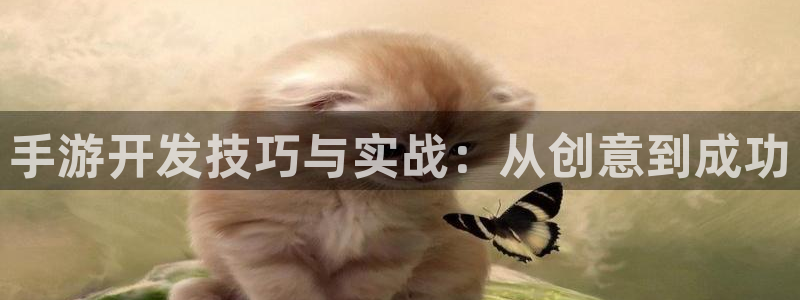 恩佐娱乐登陆：手游开发技巧与实战：从创意到成功
