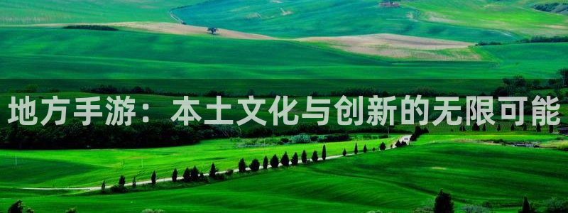 恩佐娱乐：地方手游：本土文化与创新的无限可能