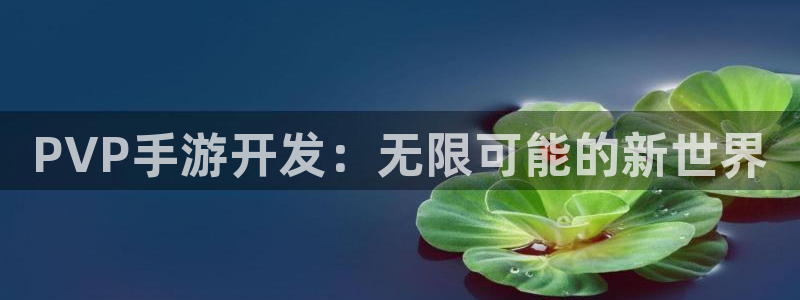 恩佐娱乐平台正规吗知乎：PVP手游开发：无限可能的新世界