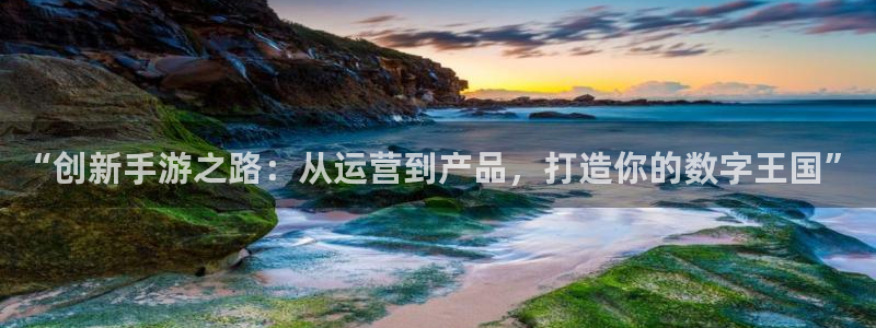 恩佐娱乐登陆：“创新手游之路：从运营到产品，打造你的数字王国