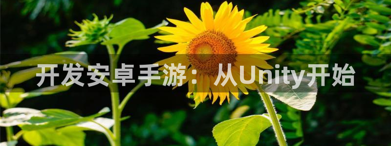 恩佐娱乐手机版最新功能介绍视频：开发安卓手游：从Unity开