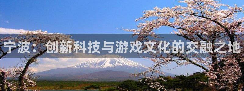 恩佐娱乐注册：宁波：创新科技与游戏文化的交融之地