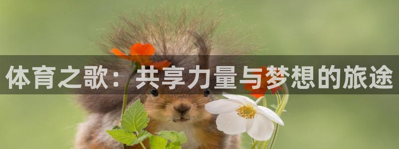 球客岛：体育之歌：共享力量与梦想的旅途