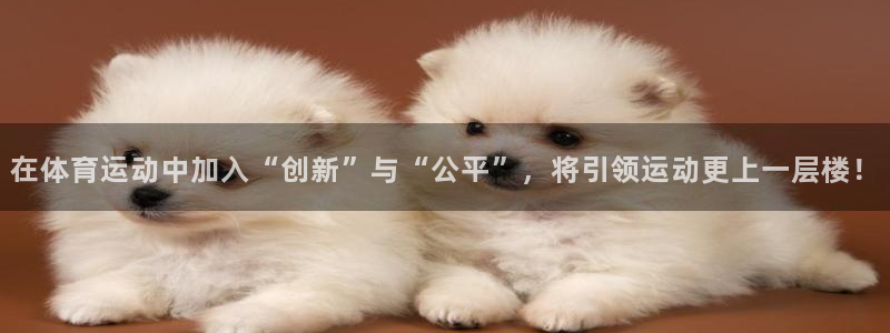 球客岛：在体育运动中加入“创新”与“公平”，将引领运动更上一层楼！