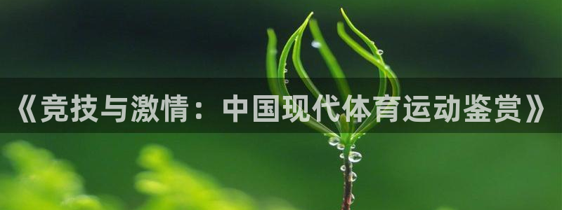 球客岛