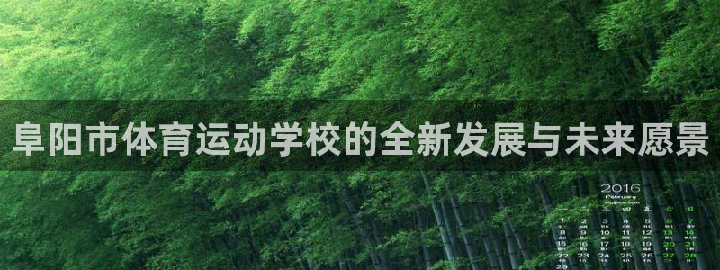 球客岛：阜阳市体育运动学校的全新发展与未来愿景
