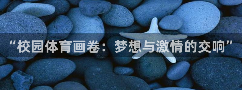 球客岛：“校园体育画卷：梦想与激情的交响”