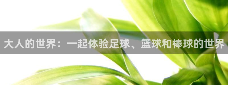 球客岛