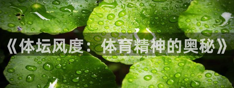 球客岛：《体坛风度：体育精神的奥秘》
