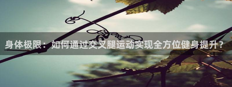 球客岛：身体极限：如何通过交叉腿运动实现全方位健身提升？